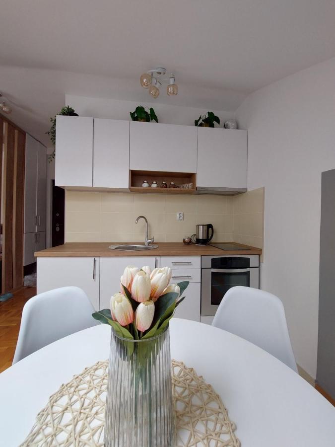 Soul Stan Na Dan Apartment Novi Sad Exterior foto